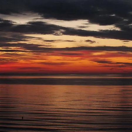 Halibut בית אירוח